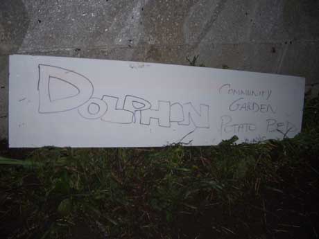 dolphin community garden