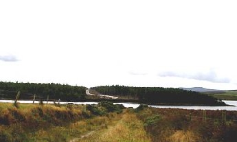 Illegally Constructed Pipeline Clearly Visible From Across The Bay