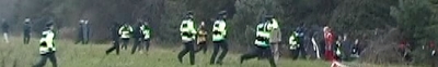 Gardai give chase into the woods