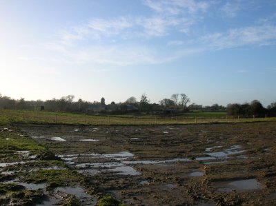 Extent of Lismullin site Jan 5 2007