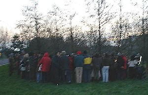 Crowd Gathers For Tree Planting Ceremony