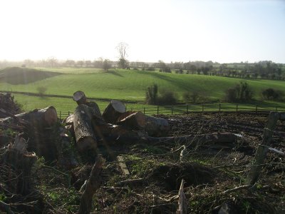 Scar on a beautiful landscape