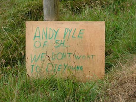 andypile.jpg