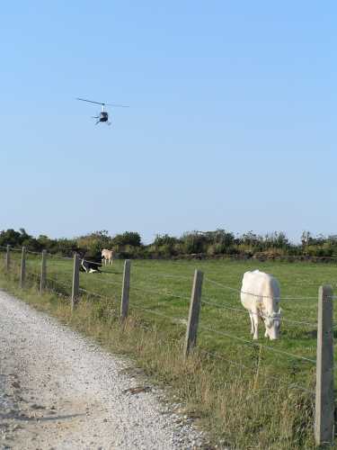 "Rossport 1" arrives in the village