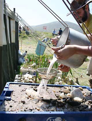 Disposing of waste water into the "grey water" system