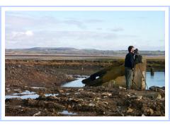 Edge of Tramore Dump