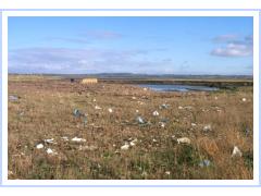 Dump in Tramore bird sanctuary