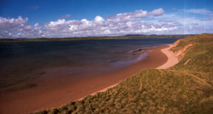 View from Tramore sand dunes.