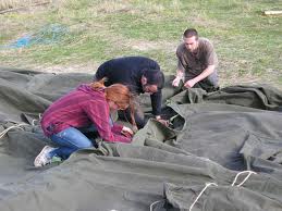 Sorting out the marquees