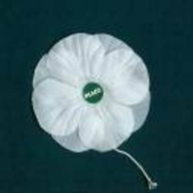 what a peace poppy looks like.