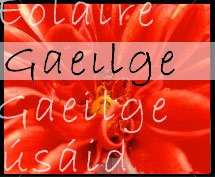 gaeilge.jpg