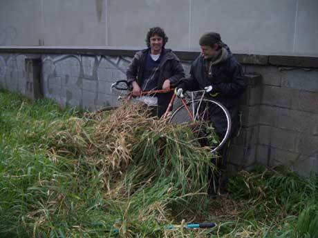 clearing and finding bikes amongst other things in the grass