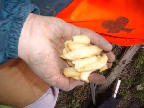 chips from the local chipper