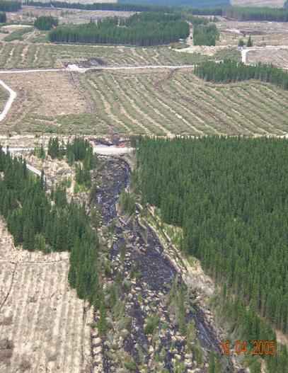 Aerial photograph of the landslide that occurred at Derrybrien in October 2003