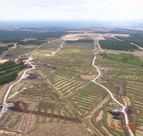 Aerial photo of the windfarm at Derrybrien