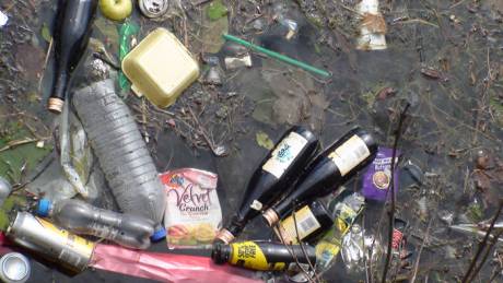 Carpet of detritus on Claddagh Quay waters