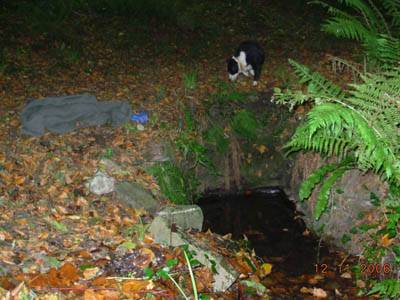 St Bridget's Well, Crosshaven