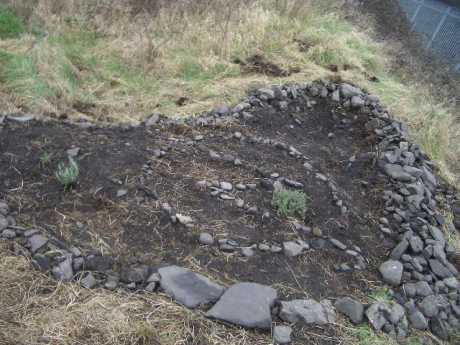 the herb garden