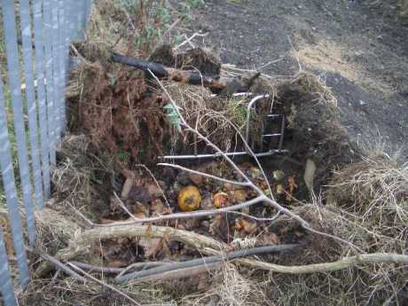 the compost heap