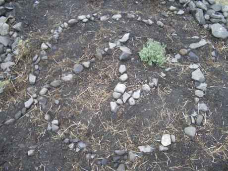 herb garden as heart with squat symbol