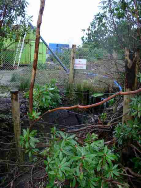 Untreated water being pumped off site from truck wash