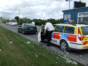 APO Inspector Benn not a fan of flowers...