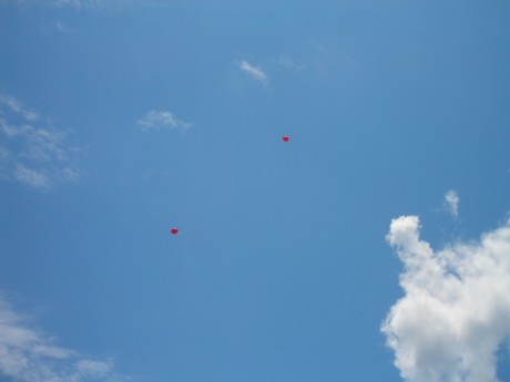 2 Deadly Red Balloons go in search of vunerable warplanes