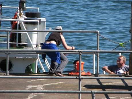 Talking To Sailors