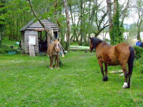 passing the horses ...