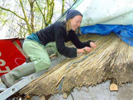 Thatching.