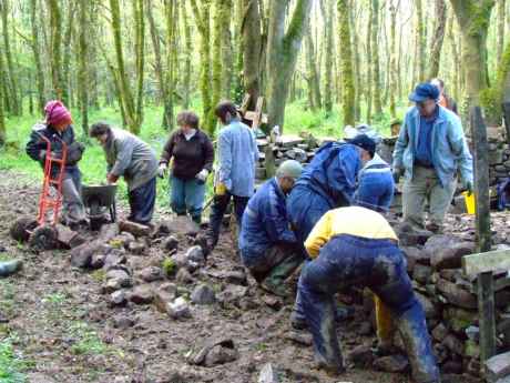 Dry stone walling.