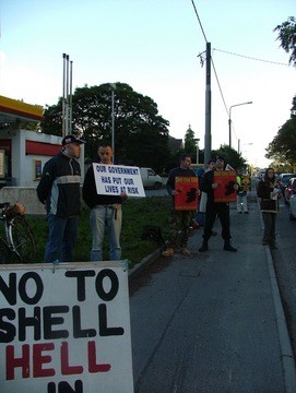 shell5.jpg